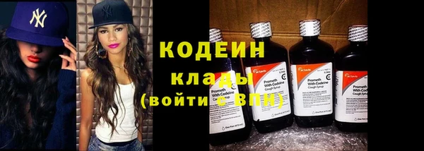 стаф Новозыбков