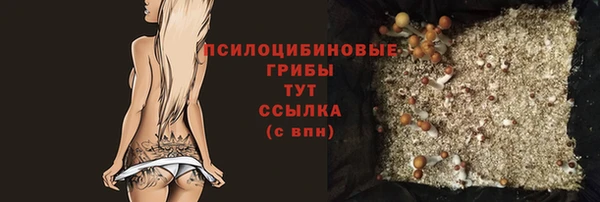 метадон Богданович