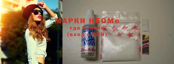 стаф Новозыбков