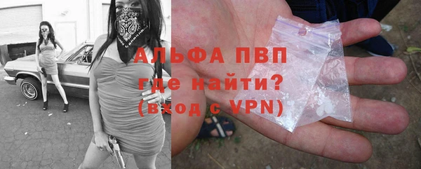 метадон Богданович