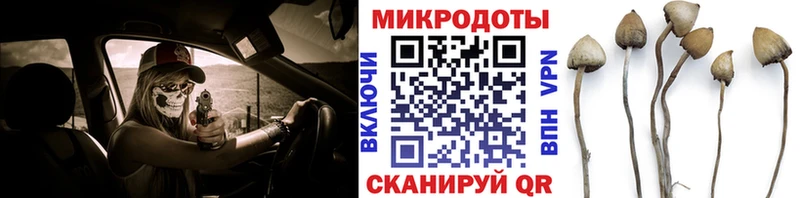 Галлюциногенные грибы Magic Shrooms  Пятигорск 