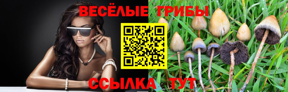 Псилоцибиновые грибы мицелий  Вход с VPN  Галлюциногенные грибы Cubensis  Пятигорск 